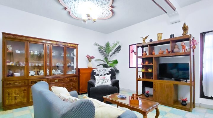Living room space with couch, tv and other decorative elements